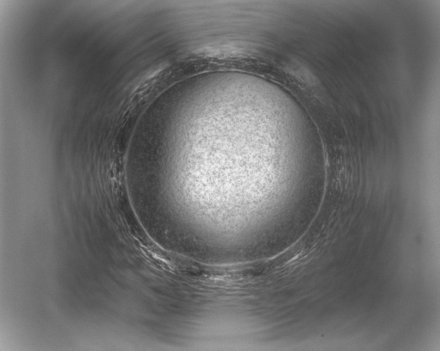 X0000059090966200510101140