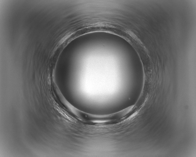 X0000059090969200510101140