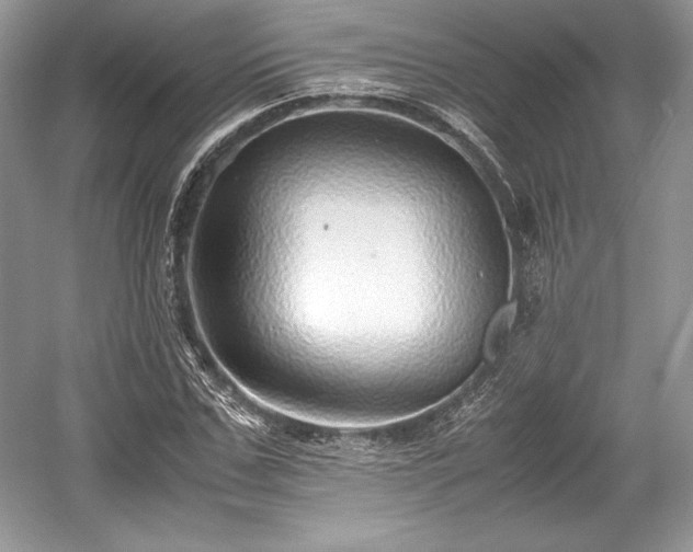 X0000059090971200510101140