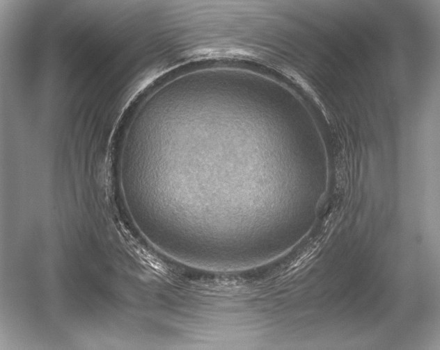 X0000059090975200510101140