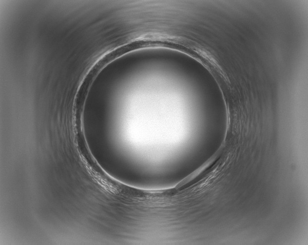 X0000059090976200510101140