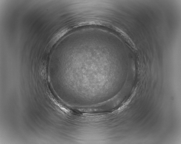 X0000059090977200510101140