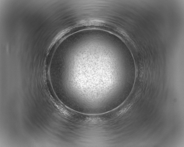 X0000059090978200510101140