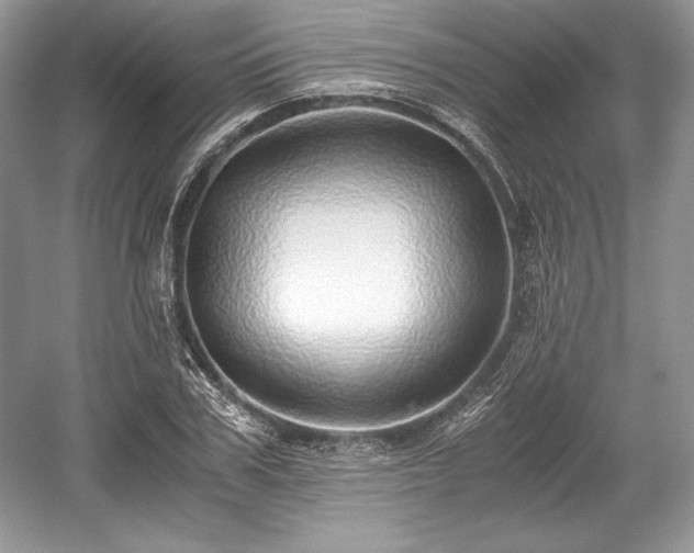 X0000059090979200510101140