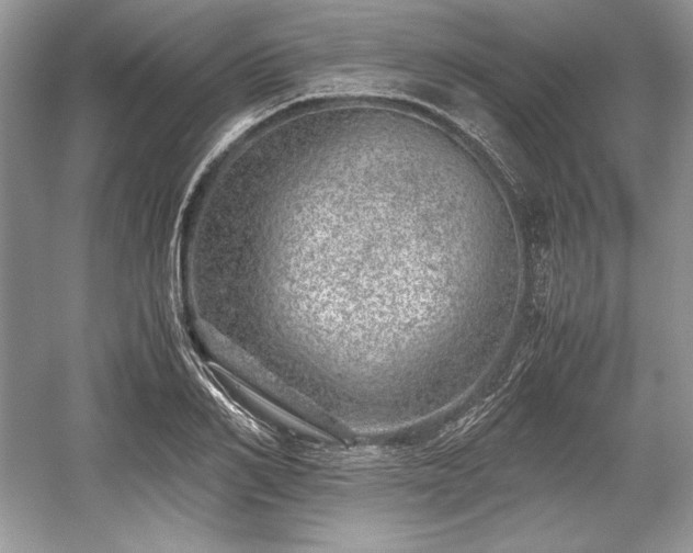 X0000059090982200510101140