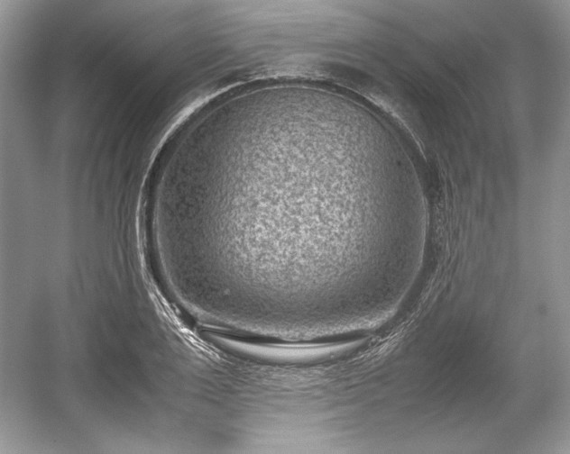 X0000059090983200510101140