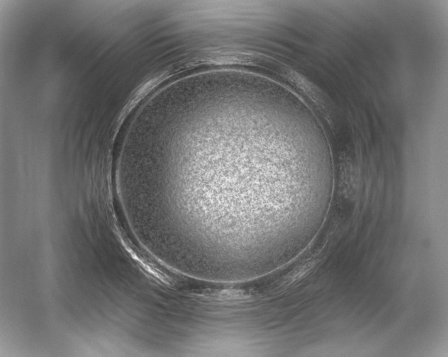 X0000059090986200510101140