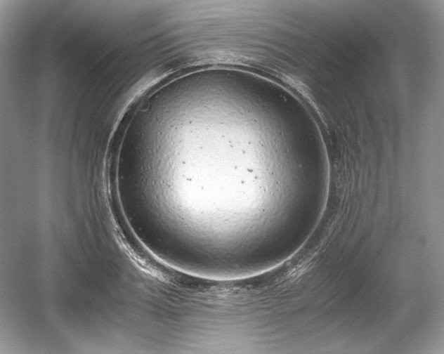 X0000059090987200510101140