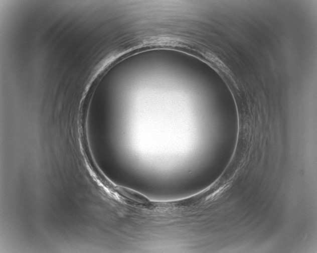 X0000059090989200510101140