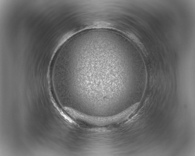 X0000059090990200510101140