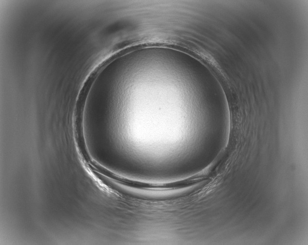 X0000059090991200510101140