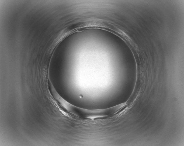 X0000059090993200510101140