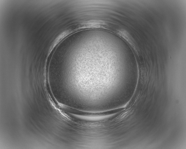 X0000059090994200510101140