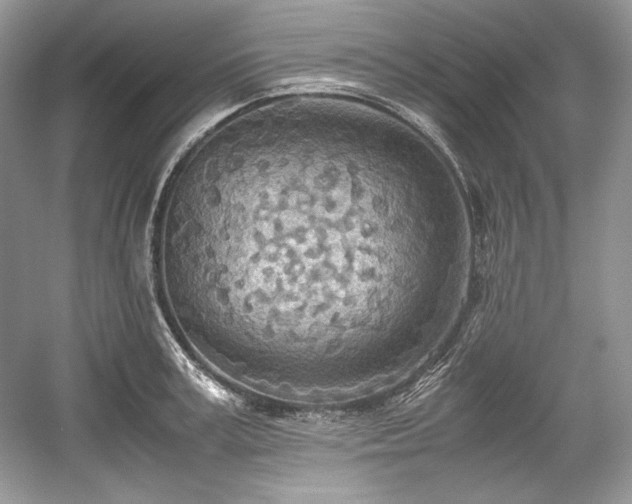 X0000059090995200510101140