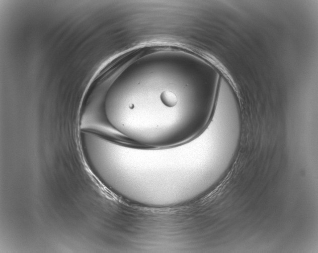 X0000059090996200510101140