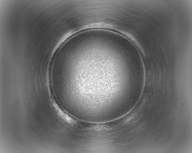 X0000059090998200510101139