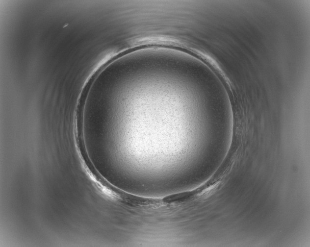 X0000059090999200510101139