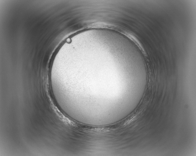 X0000059091000200510101139