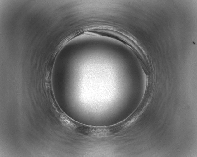 X0000059091001200510101139