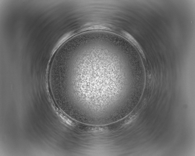 X0000059091002200510101139