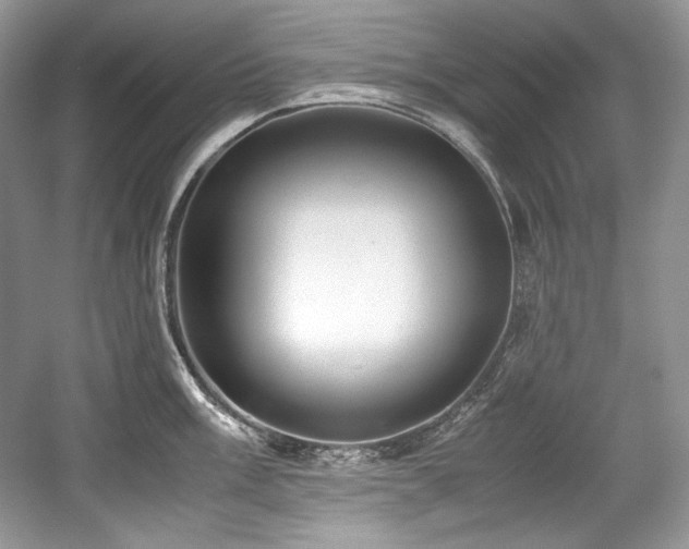 X0000059091003200510101139