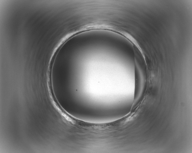 X0000059091005200510101139