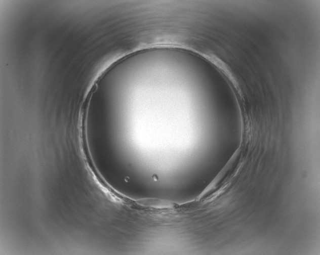 X0000059091006200510101139