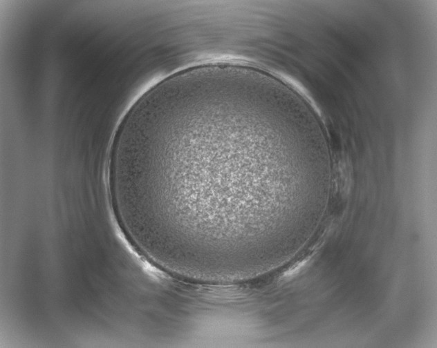 X0000059091007200510101139