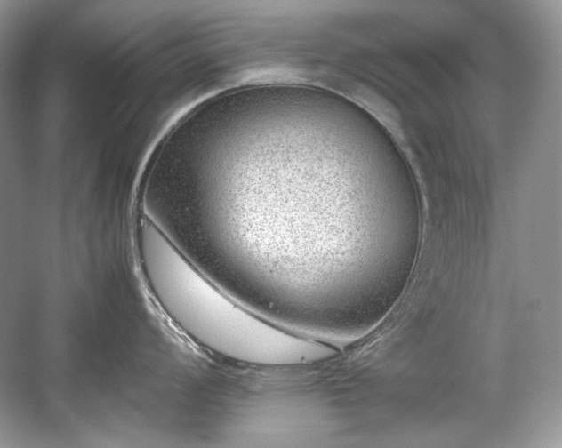 X0000059091008200510101139