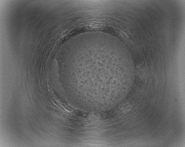 X0000059091009200510101139