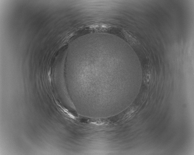 X0000059091010200510101139