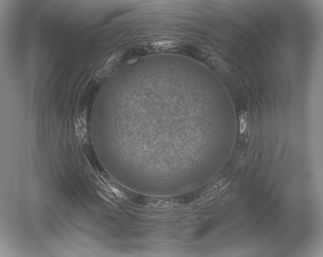 X0000059091011200510101139