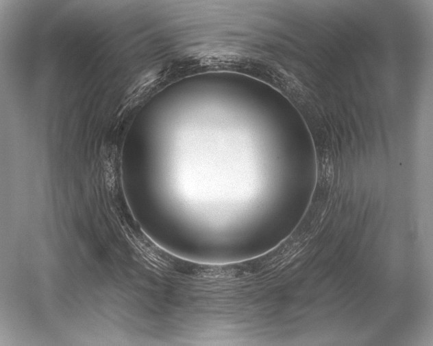 X0000059091012200510101139