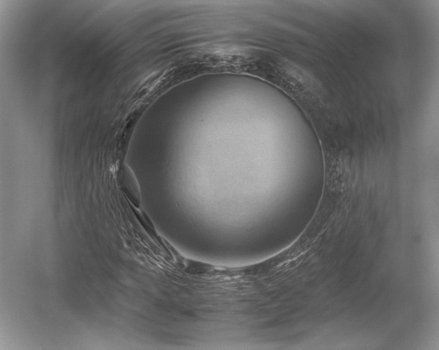 X0000059091013200510101139