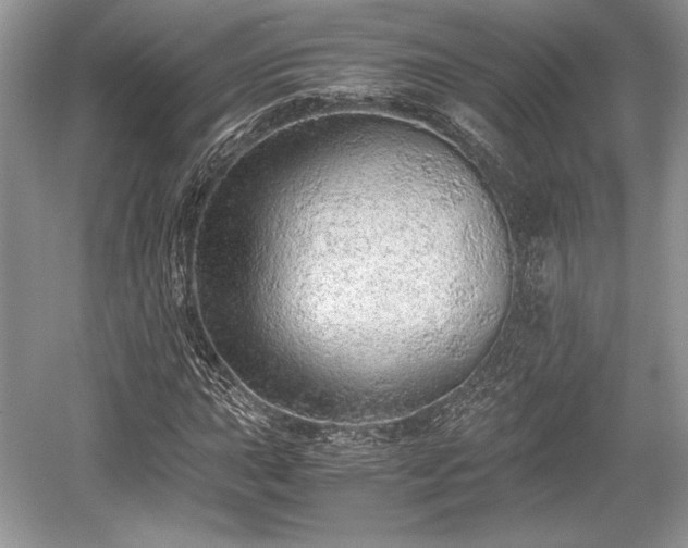 X0000059091015200510101139