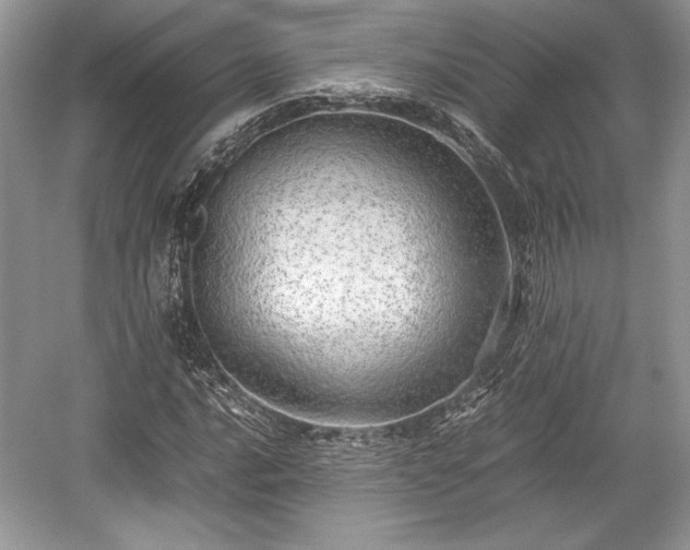 X0000059091016200510101139