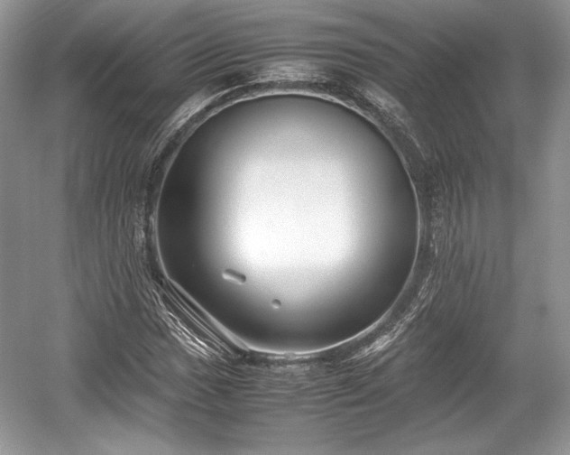 X0000059091017200510101139