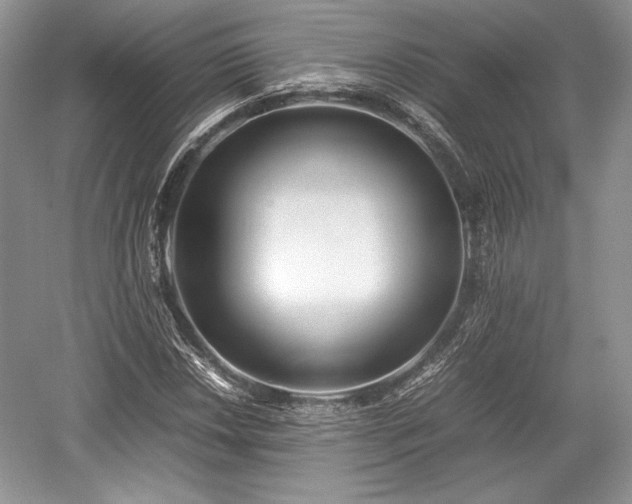 X0000059091018200510101139