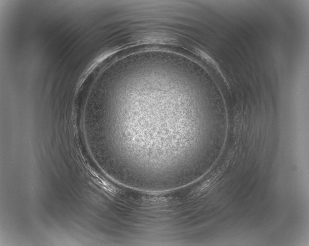 X0000059091019200510101139