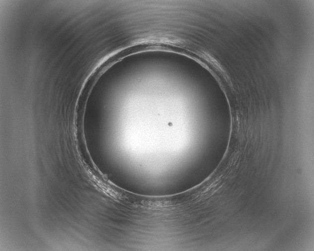 X0000059091020200510101139