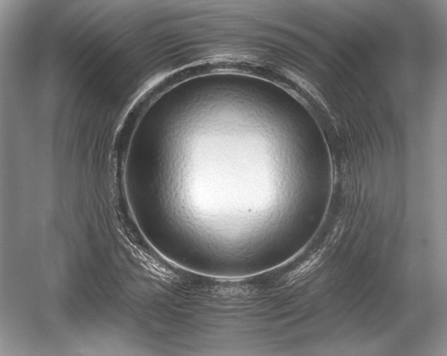 X0000059091021200510101139