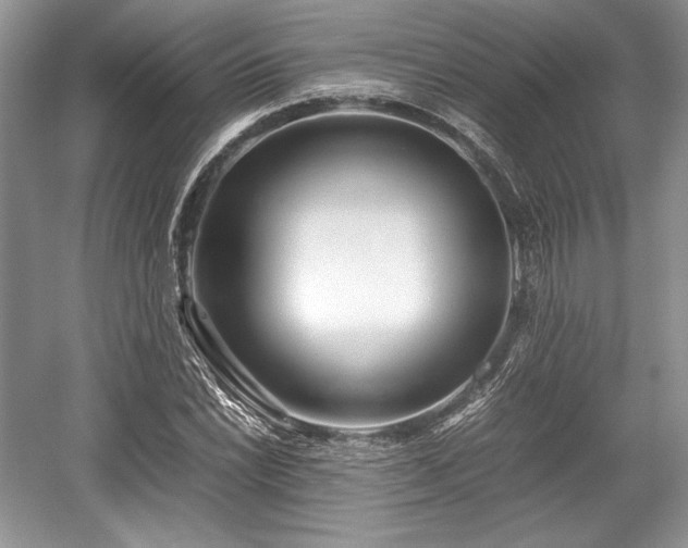 X0000059091022200510101139