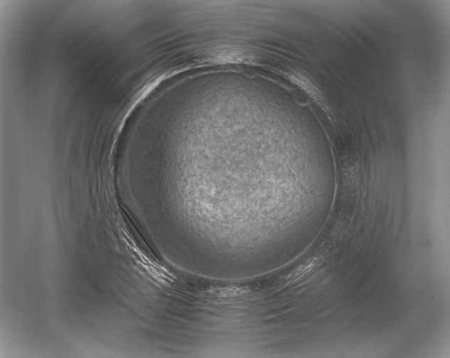 X0000059091023200510101139