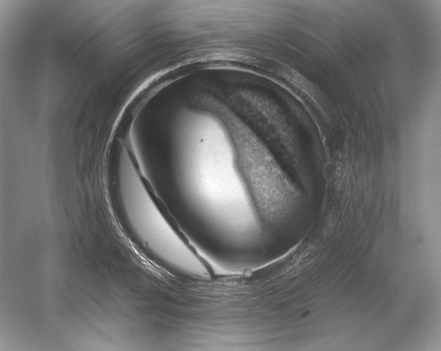 X0000059091024200510101139