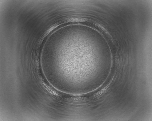 X0000059091025200510101139