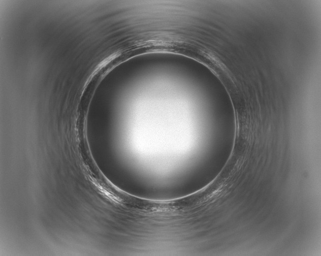 X0000059091026200510101139