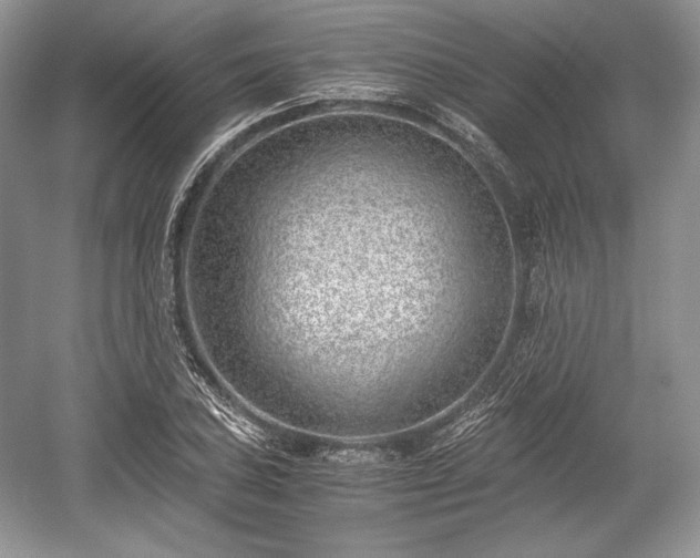 X0000059091027200510101139