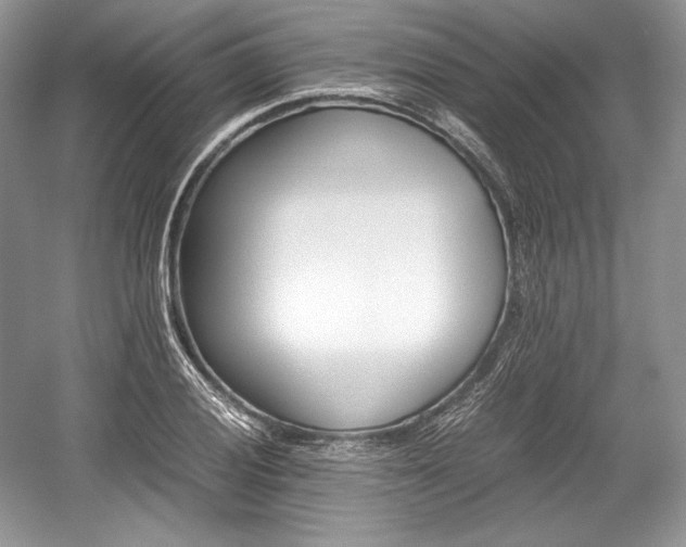 X0000059091028200510101139