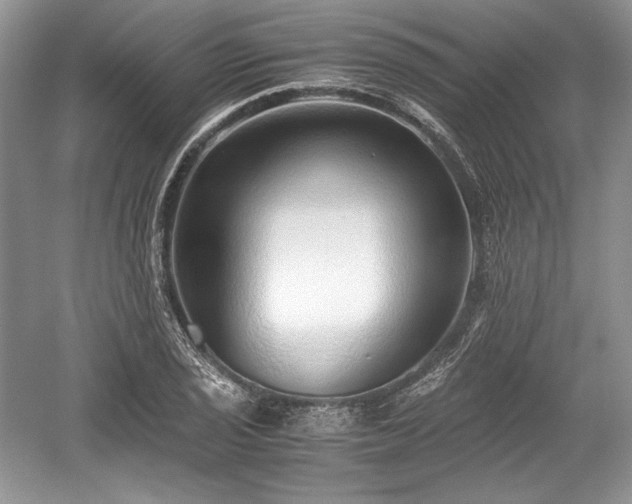 X0000059091029200510101139