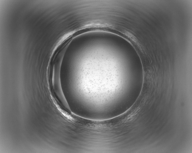 X0000059091030200510101139